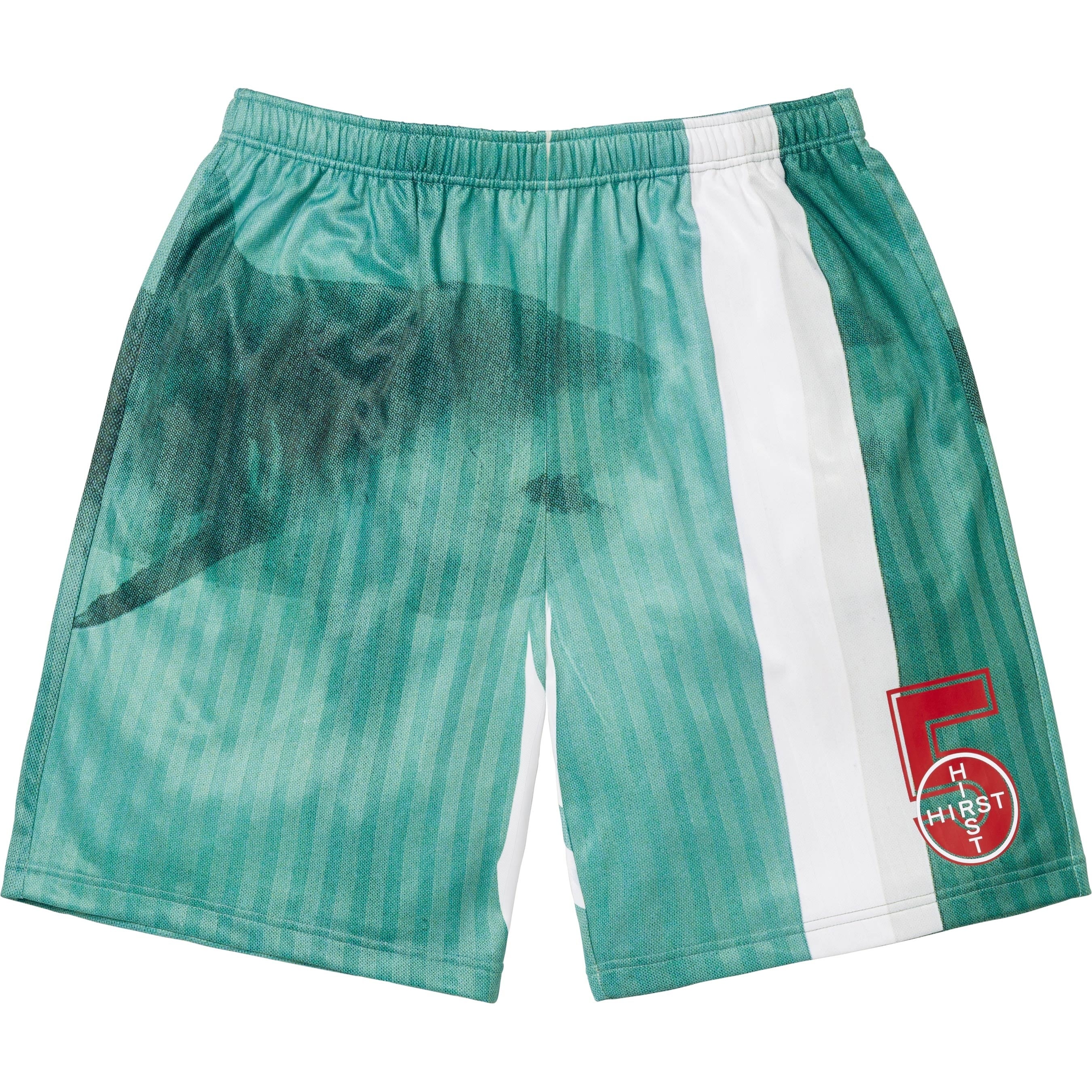 Supreme/Damien Hirst Soccer Short view 6